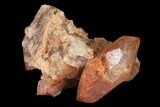 Natural, Red Quartz Crystal Cluster - Morocco #142916-1